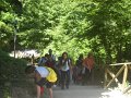 DSCN6094